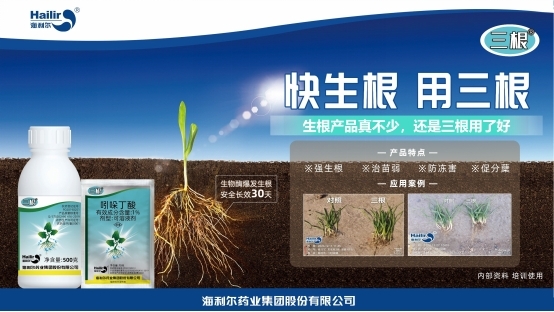 告別粗暴 轉(zhuǎn)向協(xié)調(diào)——海利爾重新定義生根技術