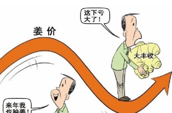 “姜你軍”跌的最狠 是咋回事呢？