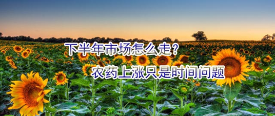 下半年市場(chǎng)怎么走？農(nóng)藥上漲只是時(shí)間問題
