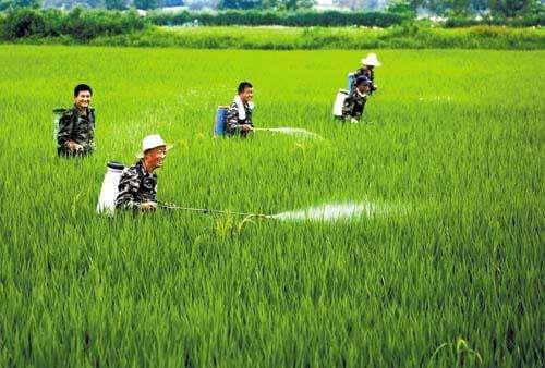 農資市場魚龍混雜，抗性真的有宣傳的那么嚴重嗎？