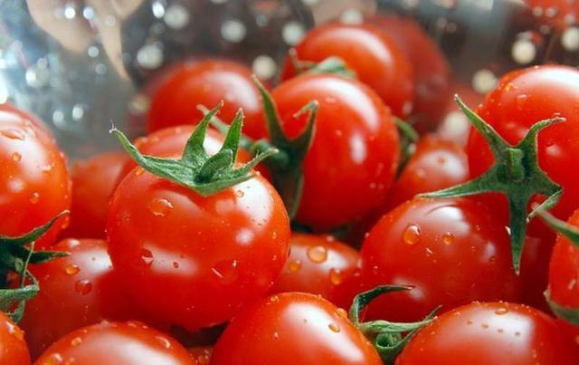 西紅柿、煙草青枯病最新研究發(fā)現(xiàn)“靶向療法”