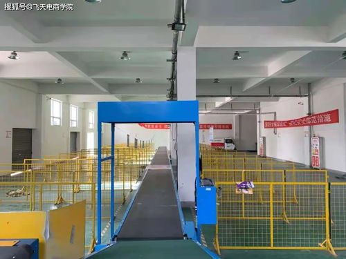 電商新引擎 千川團隊入駐湟源縣電子商務公共服務中心，開啟本地化培訓新篇章